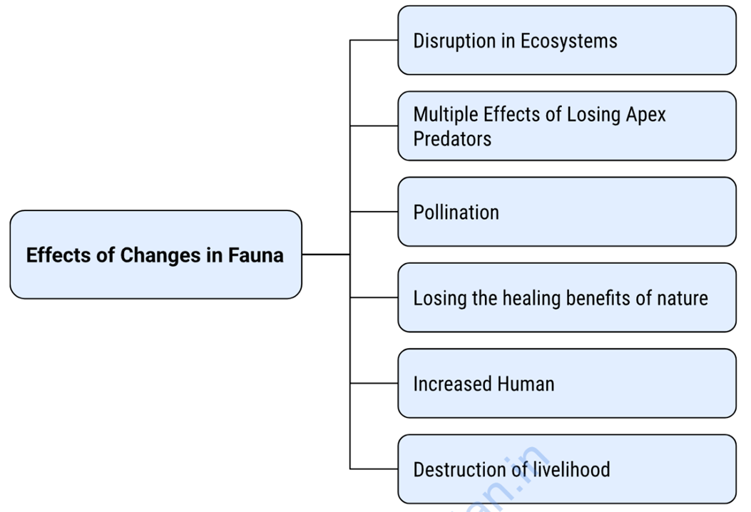 C.5. Changes In Fauna