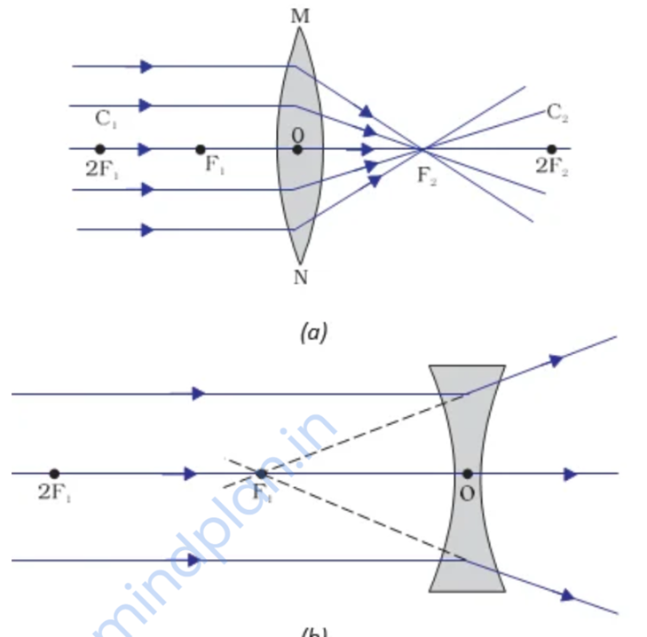 Spherical Lens Effect iv.1. How does the Spherical Lens Shape Impact Light Refraction?